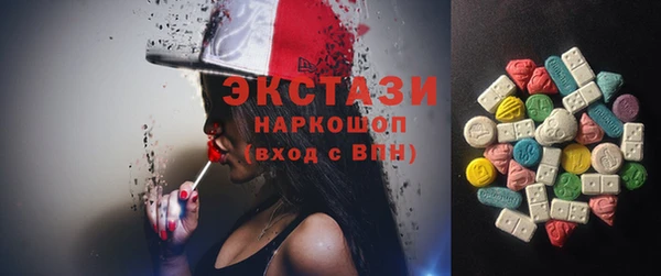 гидра Богданович