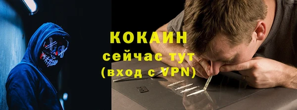 прущие грибы Беломорск
