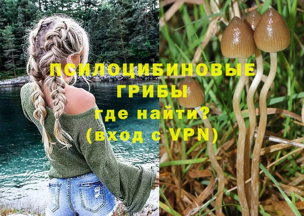гидра Богданович