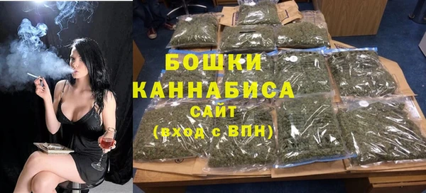 молекула духа Бронницы