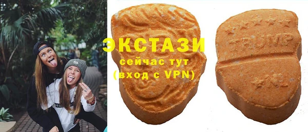гидра Богданович
